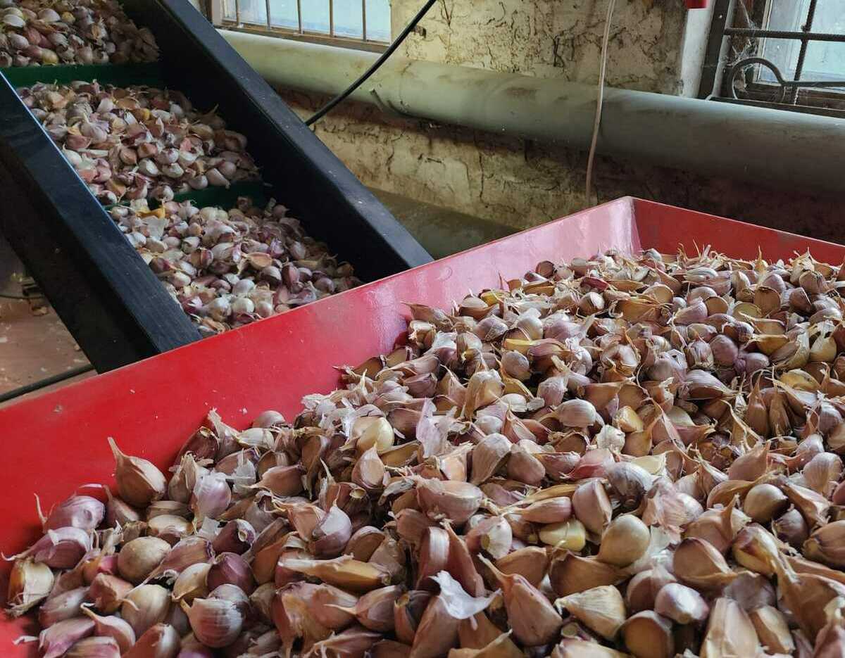 <span style="font-weight: bold;">Калибровка зубков&nbsp;</span>